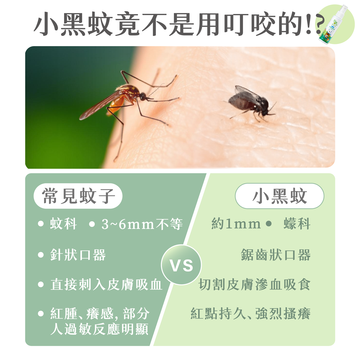 興虎林