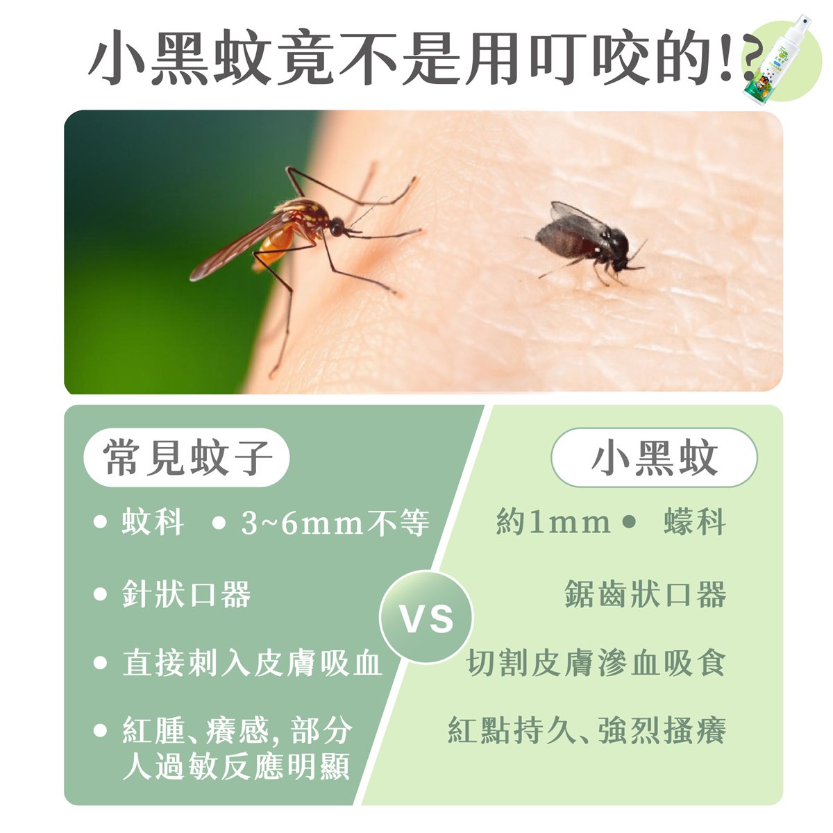 興虎林