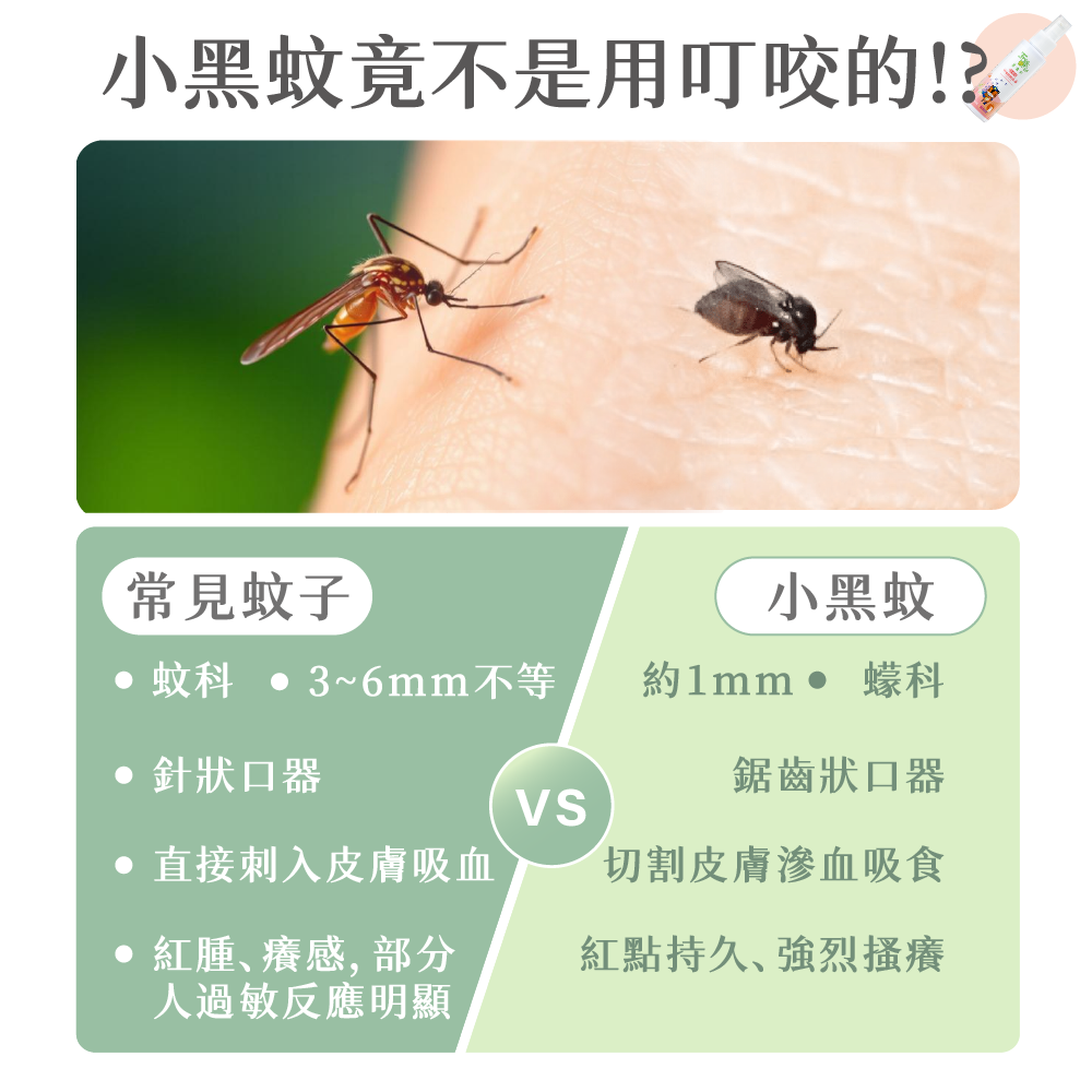興虎林