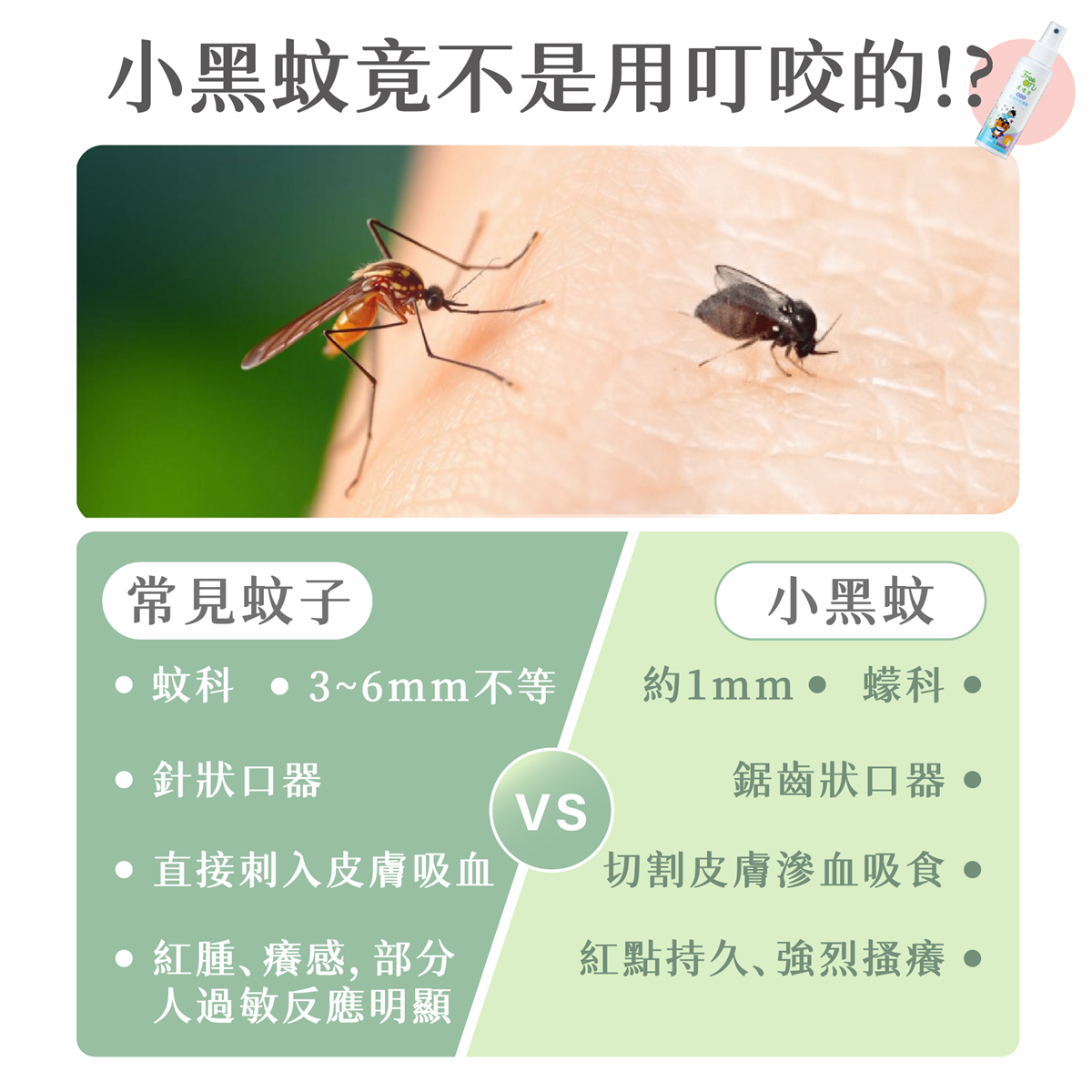 興虎林